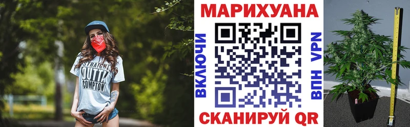 Бошки марихуана планчик omg ССЫЛКА Кукмор как найти закладки
